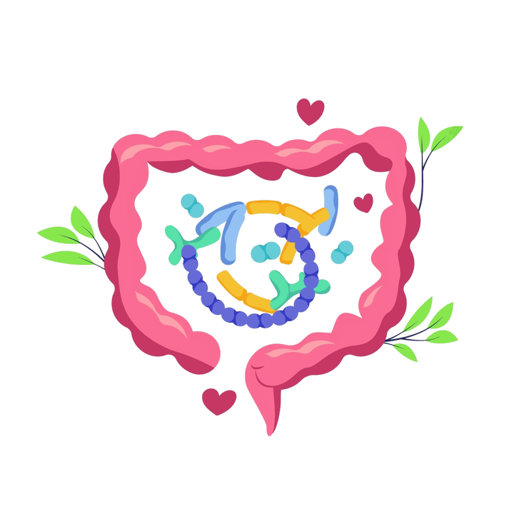 Gesunde Verdauung ohne Parasiten.