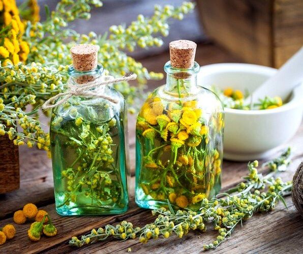 Rainfarn-Tinktur zur Beseitigung von Würmern