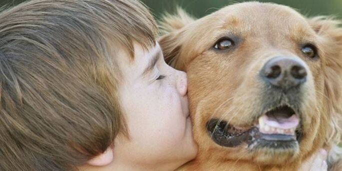 Junge infiziert sich mit Parasiten durch Hund